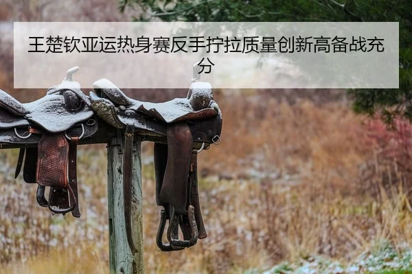 王楚钦亚运热身赛反手拧拉质量创新高备战充分