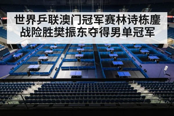 世界乒联澳门冠军赛林诗栋鏖战险胜樊振东夺得男单冠军