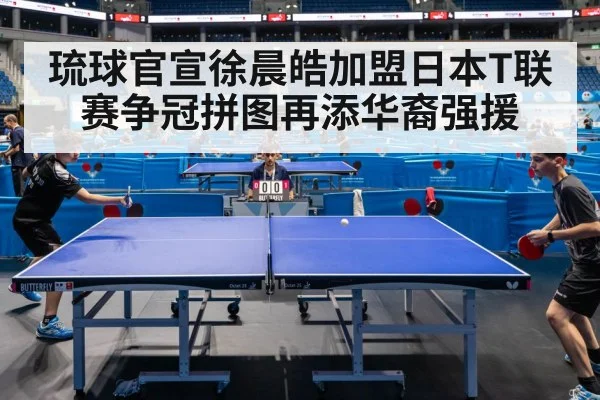 琉球官宣徐晨皓加盟日本T联赛争冠拼图再添华裔强援